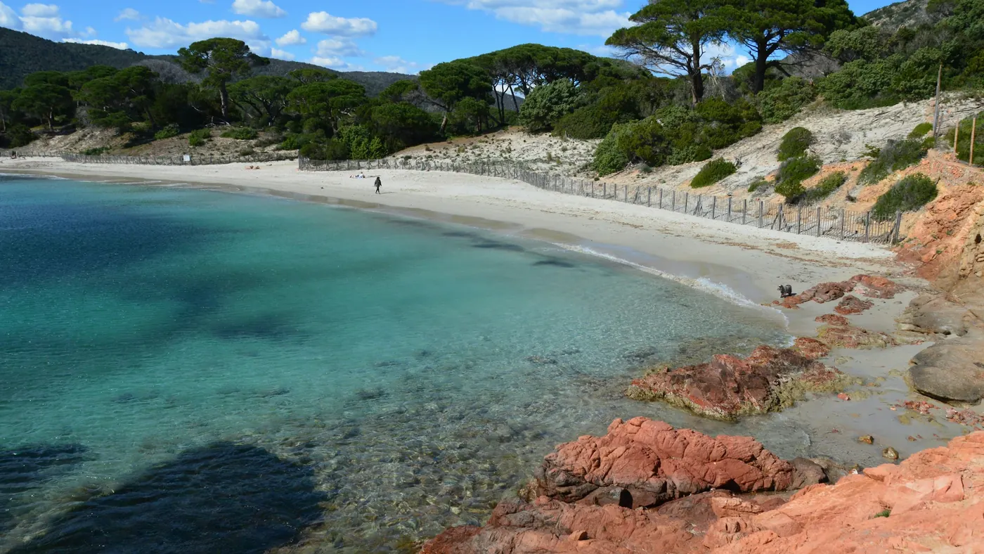 Plage de sable bordée de pins, eau turquoise et rochers rouges